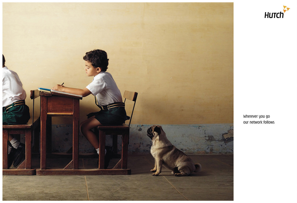 Hutch Advertising  Pug dog Photography  art untouched photography Hasselblad leading photographer