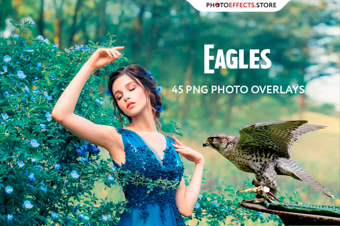 Eagle photo overlays eagle overlays photoshop overlays sky overlays sky photo overlays Natural overlays bird photography effects overlays png