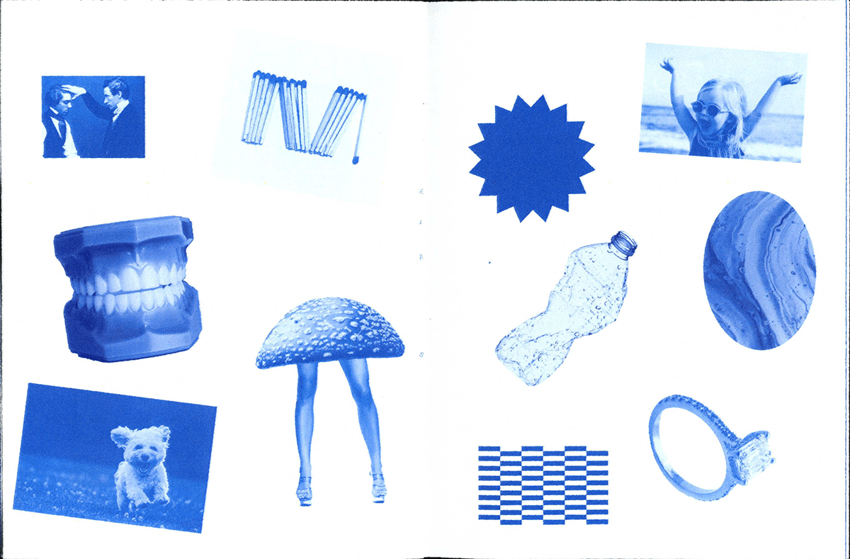 booklet design editorial editorial design  Layout Design Magazine Cover Magazine design magazine layout mushroom Zine  zine deisgn
