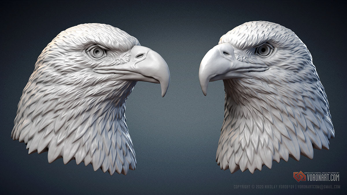 american bald eagle bird sculpture 3d printable files STL / OBJ