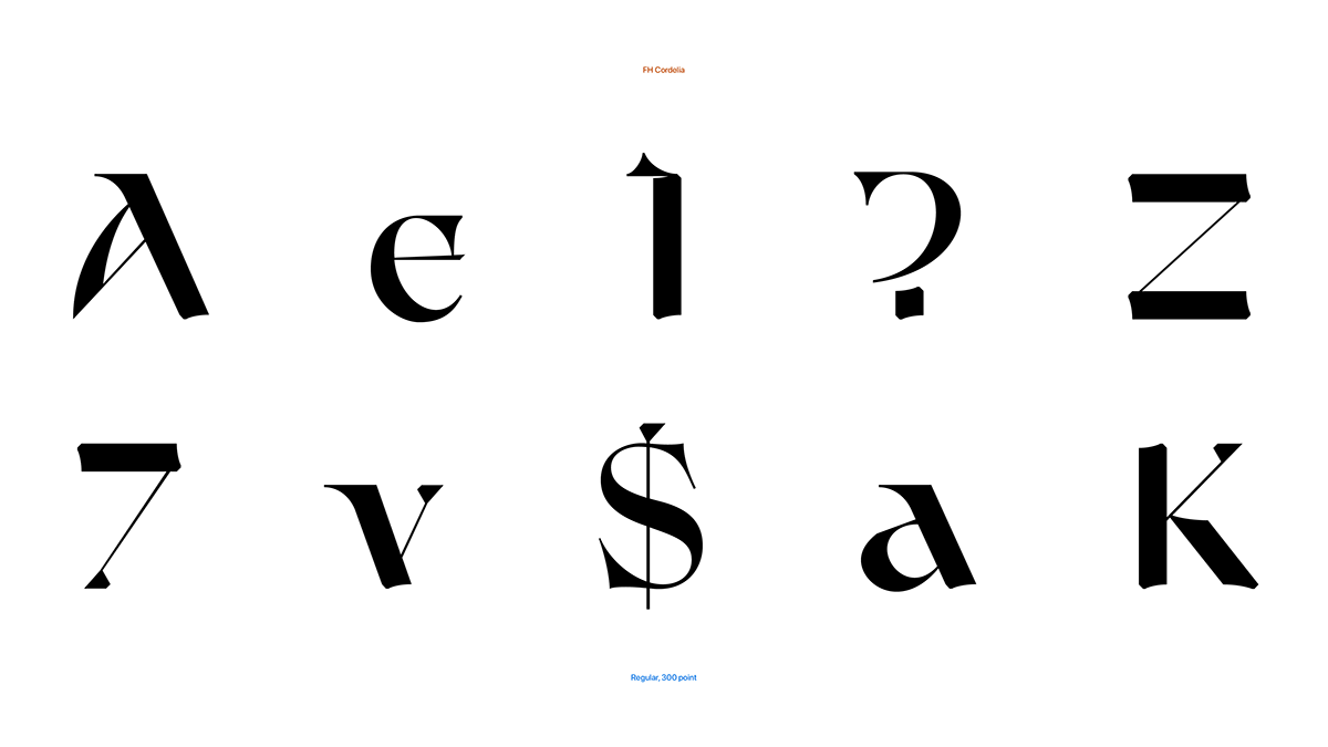 design font glyph glyphs graphic design  Logotype type type design Typeface typography  