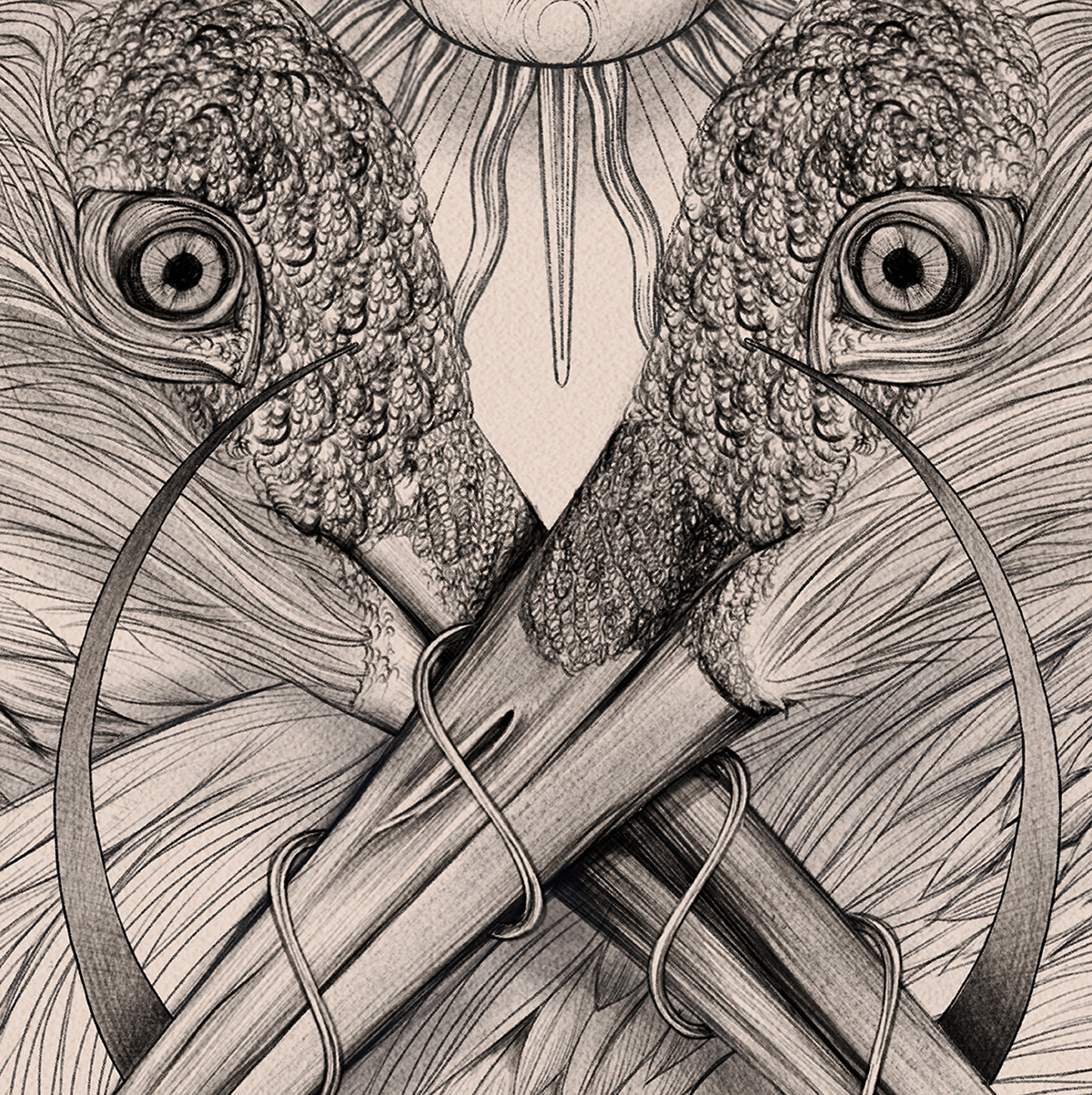 bird moon Sun Mystic occult botanical Nature poster print