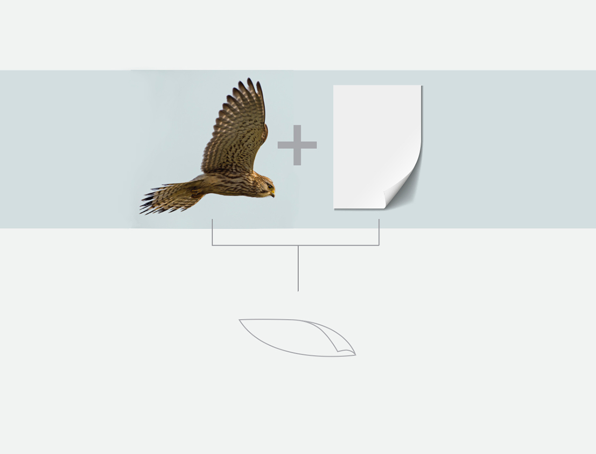 logo publishing   arabic brand identity Printing wing falcon bird book