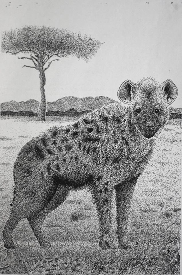 african animals lion Rhino giraffe hyena elephant