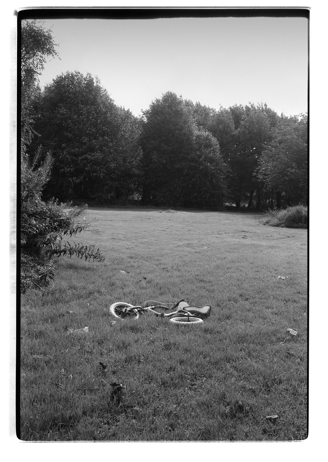 Photography  Film   35mm 120 film black and white  Bourtreehill  Nikon pinhole