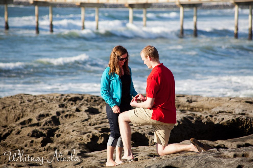 Nathaniel & Erin  engagement  proposal  surprise