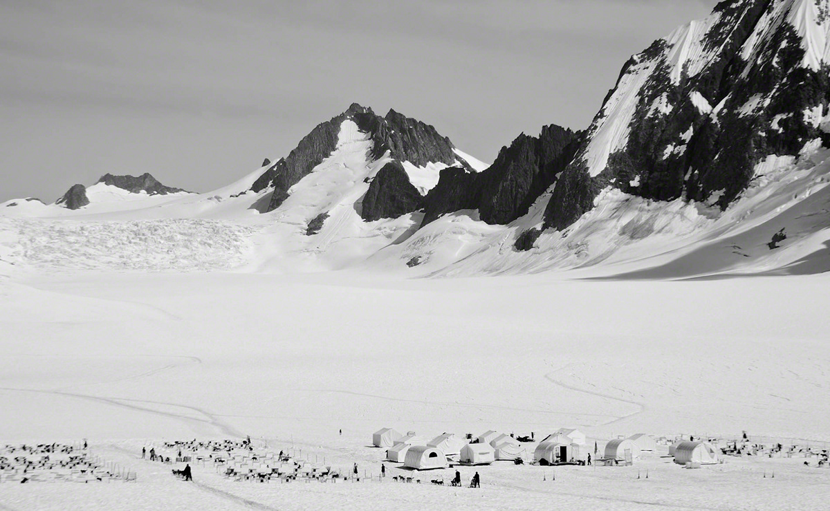 Juneau ak Alaska glacier mendenhall glacier Travel snow mush dogsledding steven williams Nikon D40x