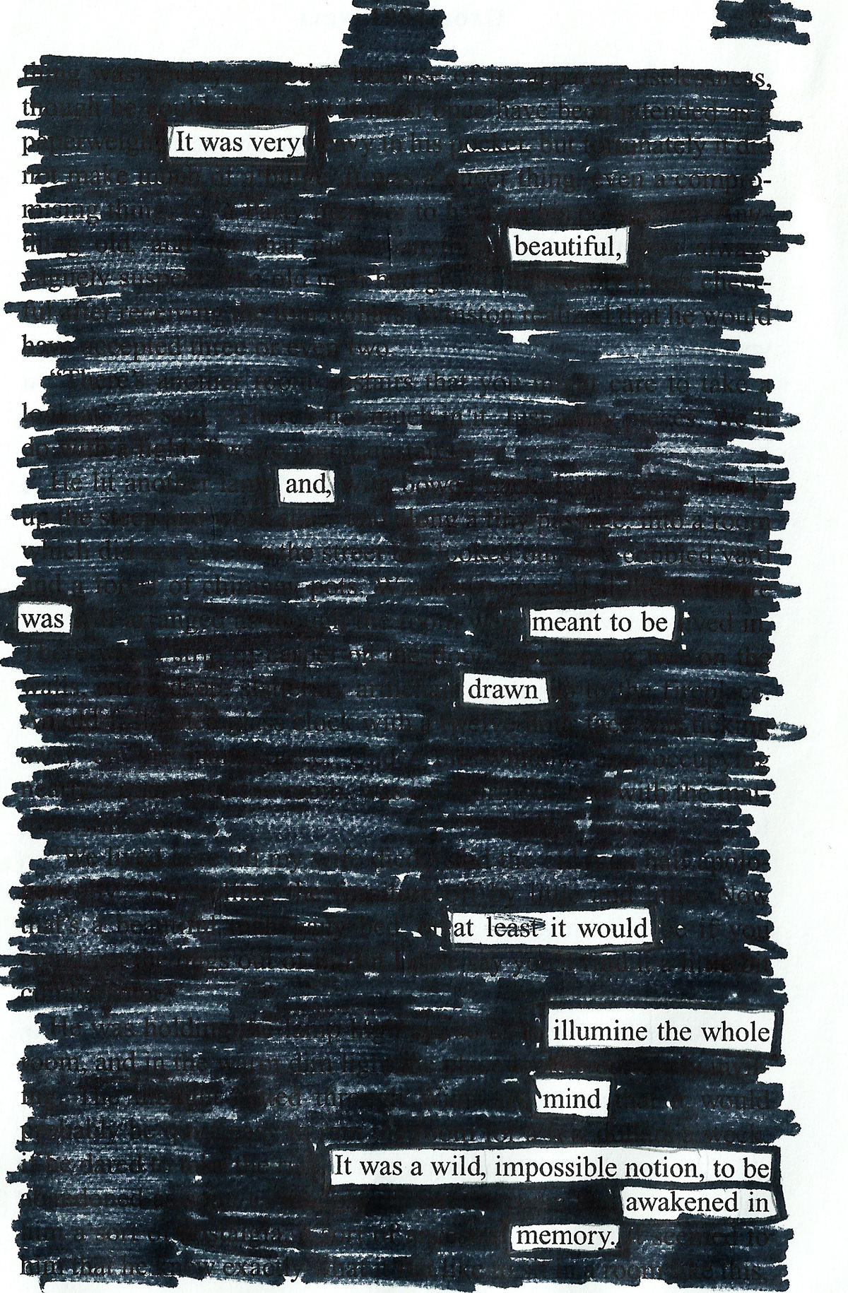 creative Poetry  hidden caitlyn Sturdevant awesome black Beautiful Unique design Picture meaningful inspiration