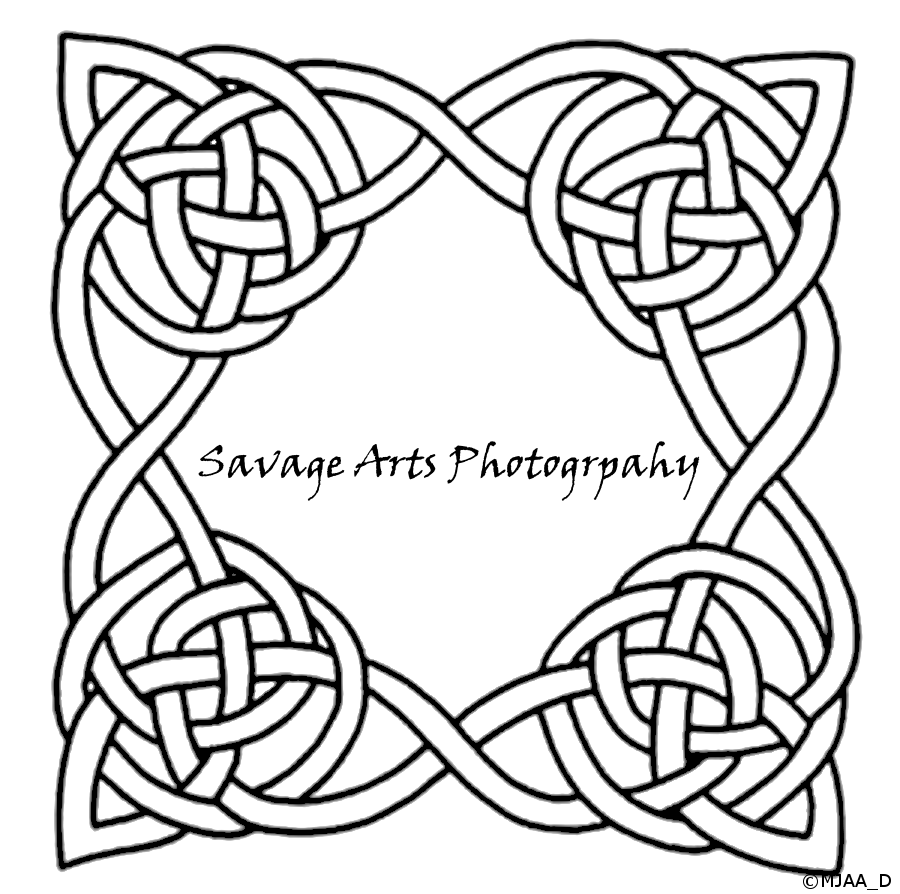 SAP Freelance Photography logos savage arts