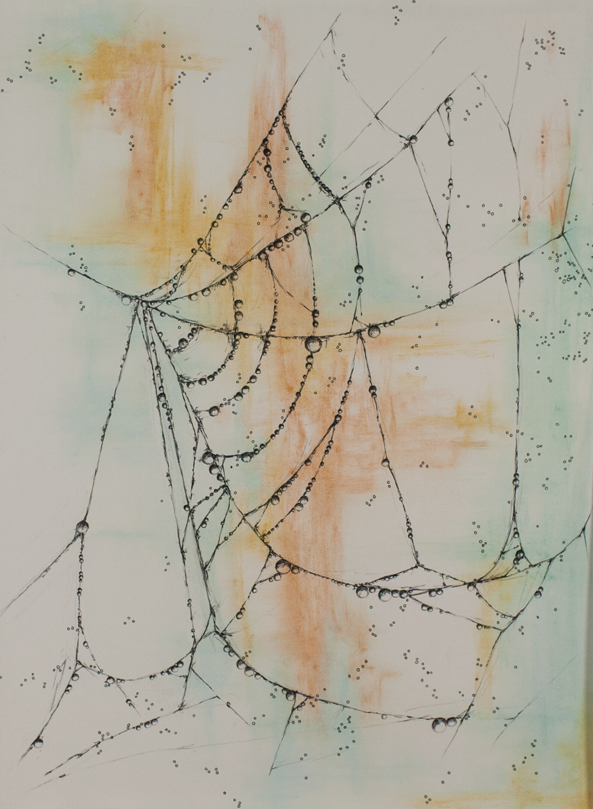 spiderwebs dew drops Charcoal Drawing Pastels