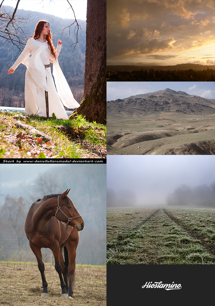 horse retouching  composition manipulation Photography 