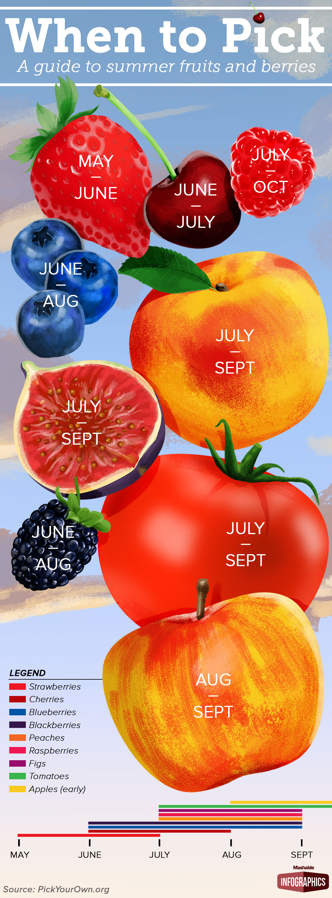 Fruit summer infographic berries apple strawberry peach