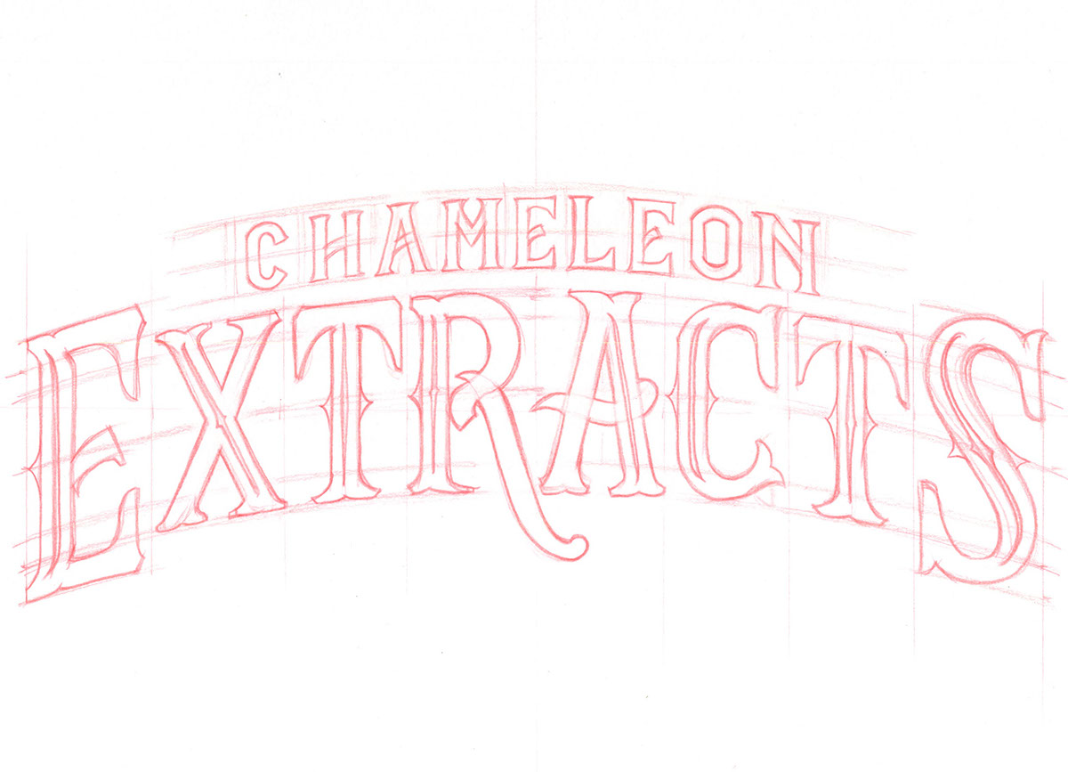 logo penmanship sketch text font vector