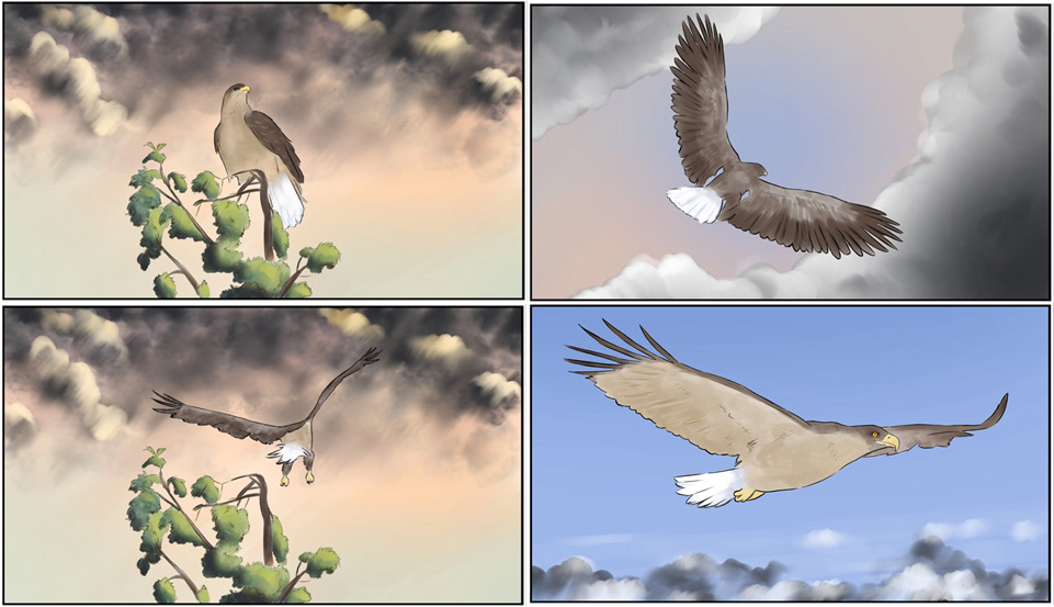 eagle Fly SKY enviroment Character animation  trees storm clouds 3D