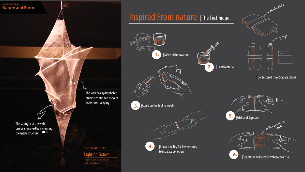 spider web biomimicry nature and form Arjun Raj Kumar webbing inspired from nature lighting fixture tensile structure Sushant Rajendra Darake
