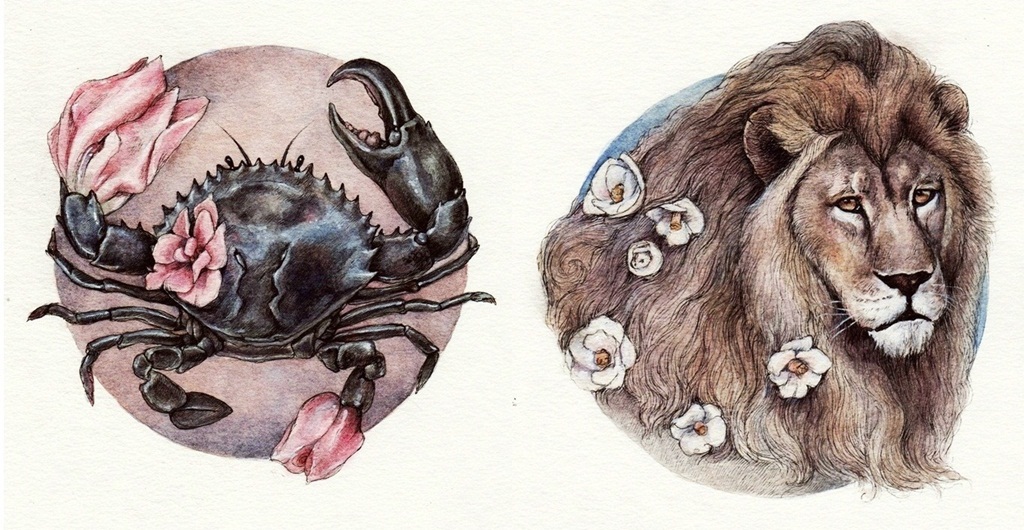 zodiac  animals watercolor