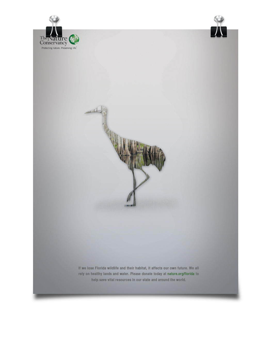 WWF Tanner scipio animal Extinction ad nature conservancy