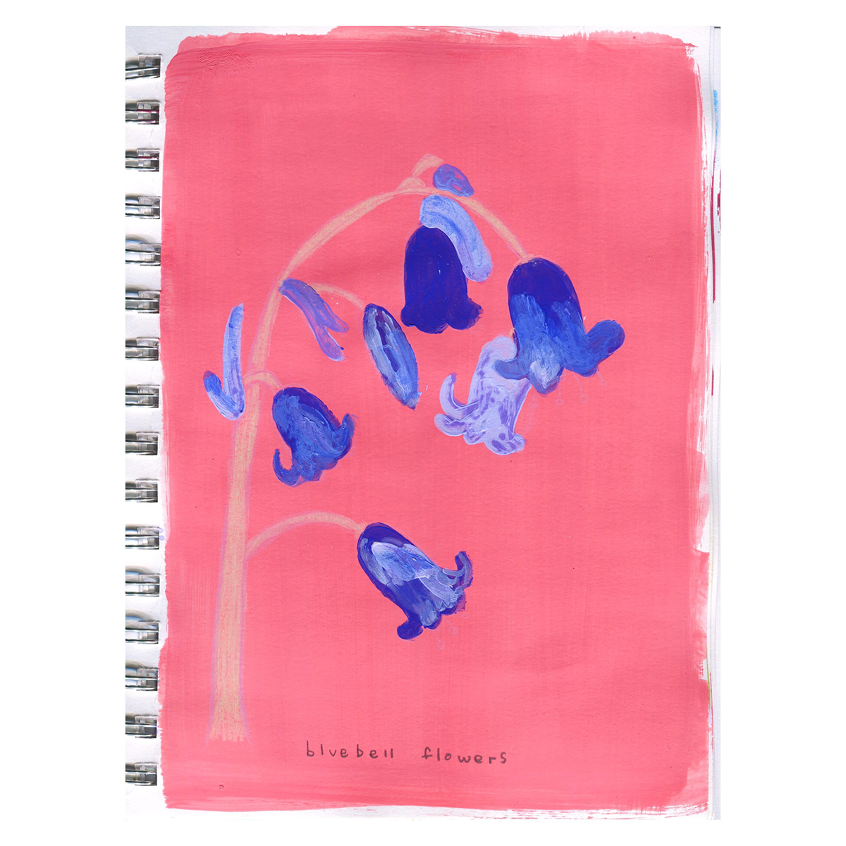 botanial illustrations Flowers sketchbook Drawing  painting   sketches