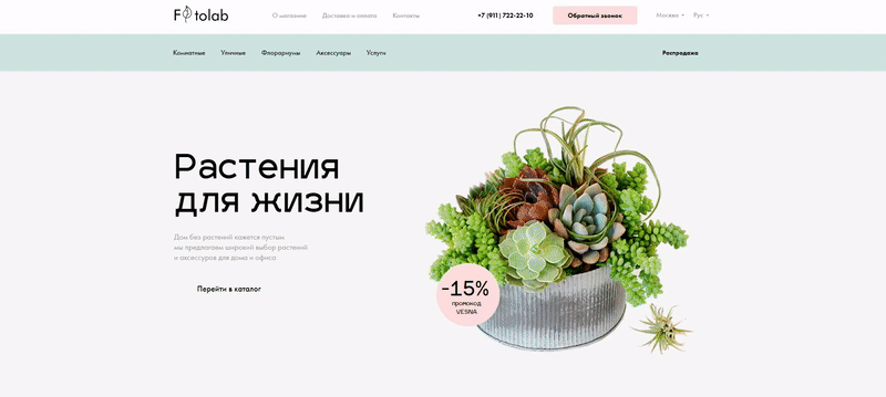 clean Minimalism plants shop store UI ux Webdesign Website интернет-магазин