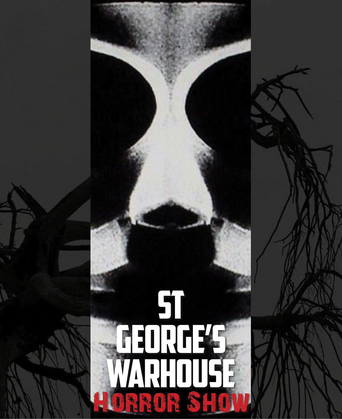 St George's Warehouse theater  horror show the raven edgar allen poe brochure roll fold