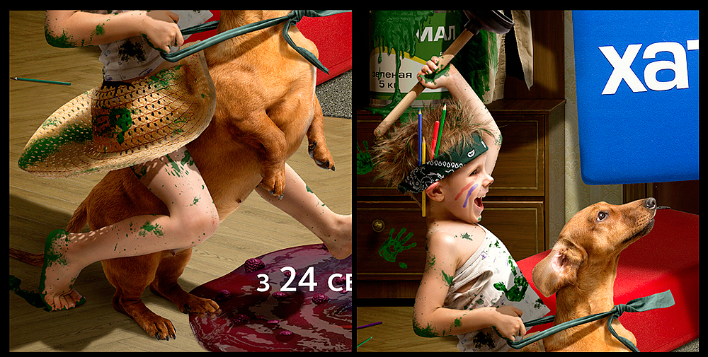 tv show poster child dog Cat Darts mess Plant childrens tricks Home Garden jam hallway shoes pencil