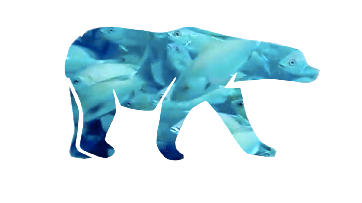 Polar Bear stop animation frames