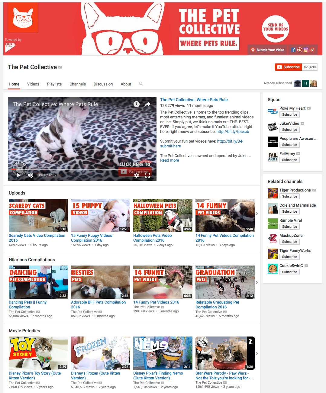 The Pet Collective Fullscreen media youtube youtube network cat videos dog videos