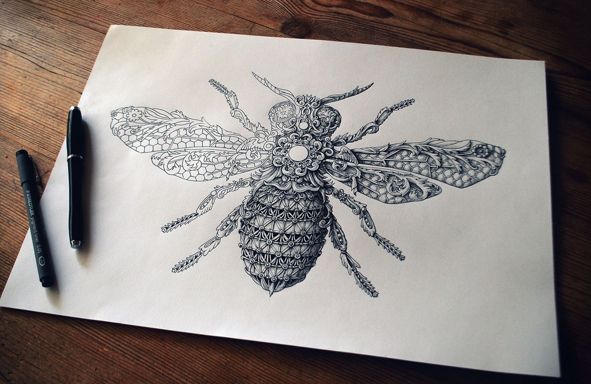 alex konahin insect art Insects butterfly bee dragonfly Fly