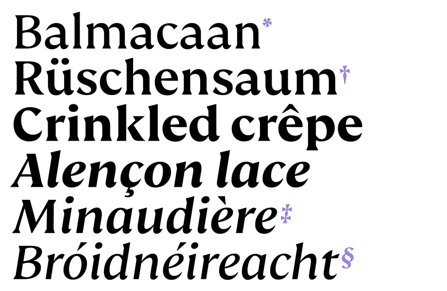 typography   font type graphic design  serif