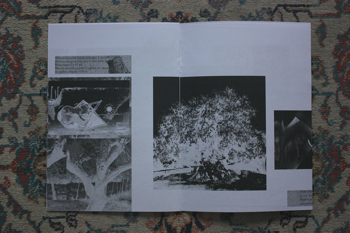 Zine  mammoth olive tree graff iti scanning invert publication