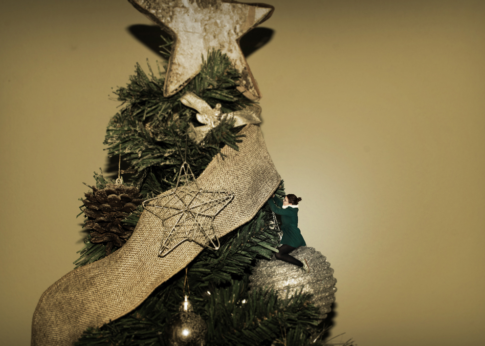 Christmas lights christmas Tree little photomontage Soup Pasta prepare stars pineapples holidays indoor