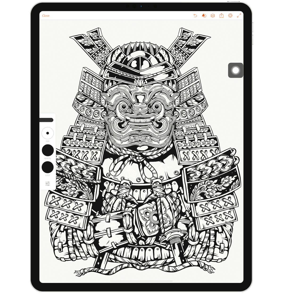 tonrer samurai japan ILLUSTRATION  culture design Drawing  Thailand adobedraw ipadpro