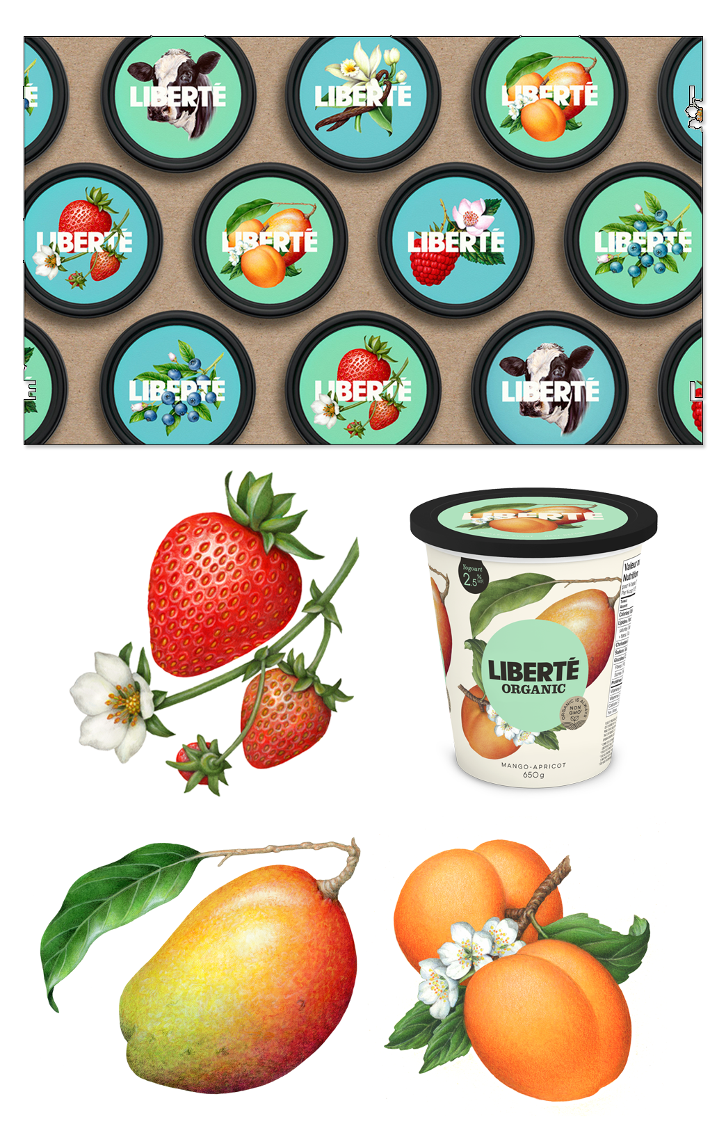 Botanical illustrations used in packaging for Liberte Organic yogurt.