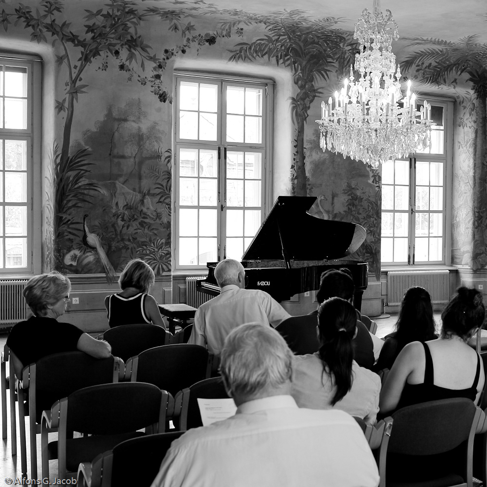 vienna ViennaMasterCourses Piano Public Concert Master Class Schloss Laudon baroque water-castle Ludwig van Beethoven johannes brahms Frédéric Chopin Franz Schubert classical music