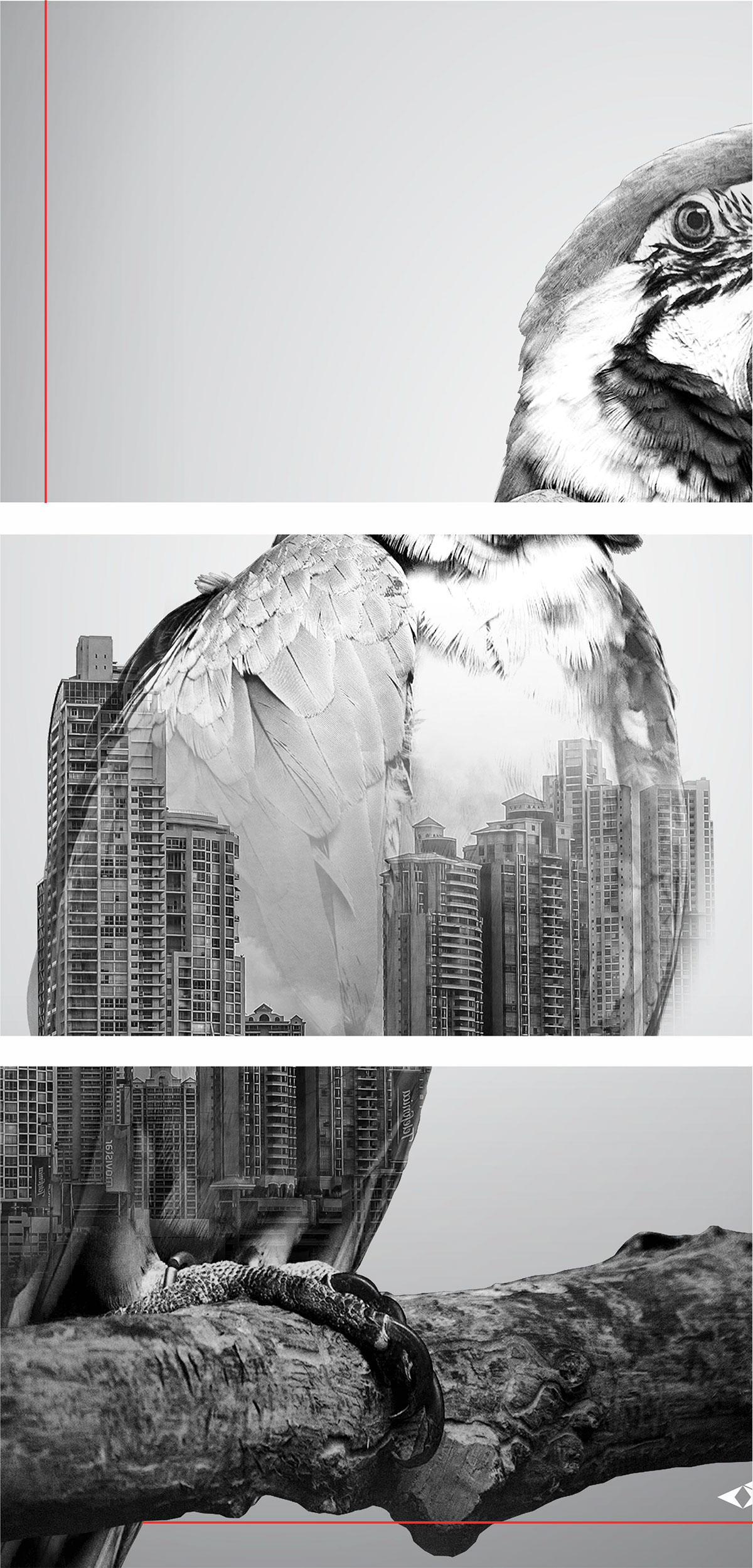 environment arte Photography  design reflection caioschutz macaw city aware