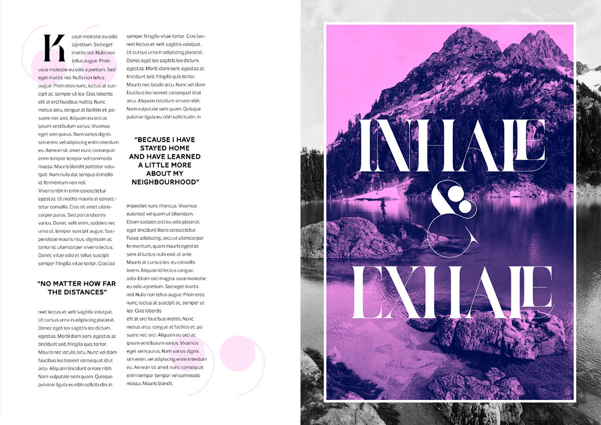 font fonts Typeface typefaces magazine Didot bodoni Ligatures swash Swashes glamour exuberant class feminine Display