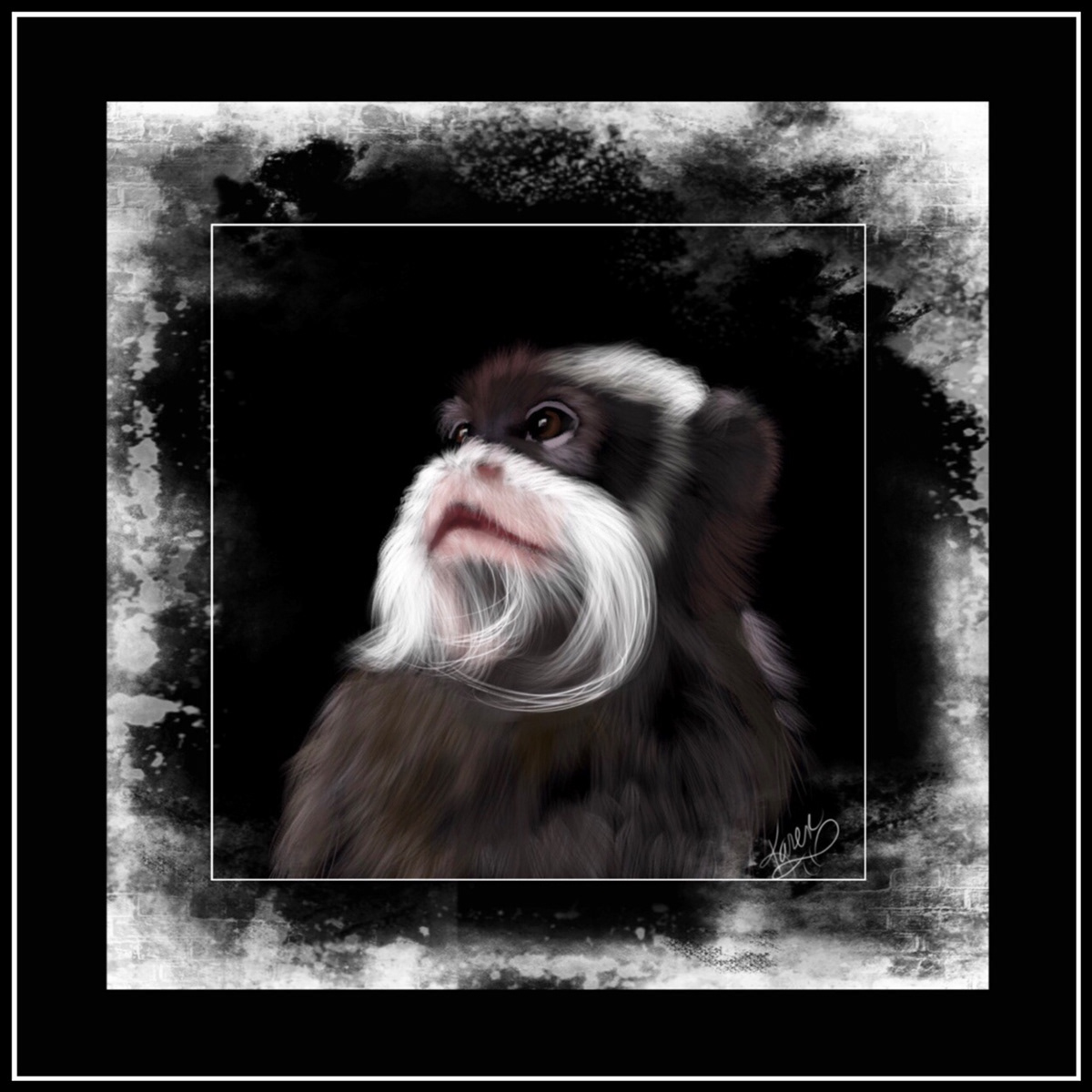 Digital Art  digital painting Drawing  illustrations primates animals monkeys Emperor Tamarins
