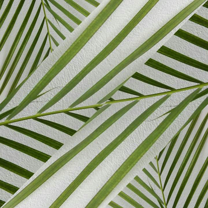 palm leaves collage green leaves