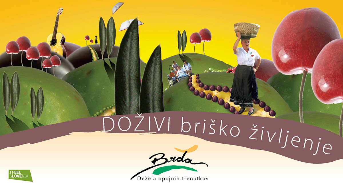 BRDA marakcija concept tourism wine gastronomy