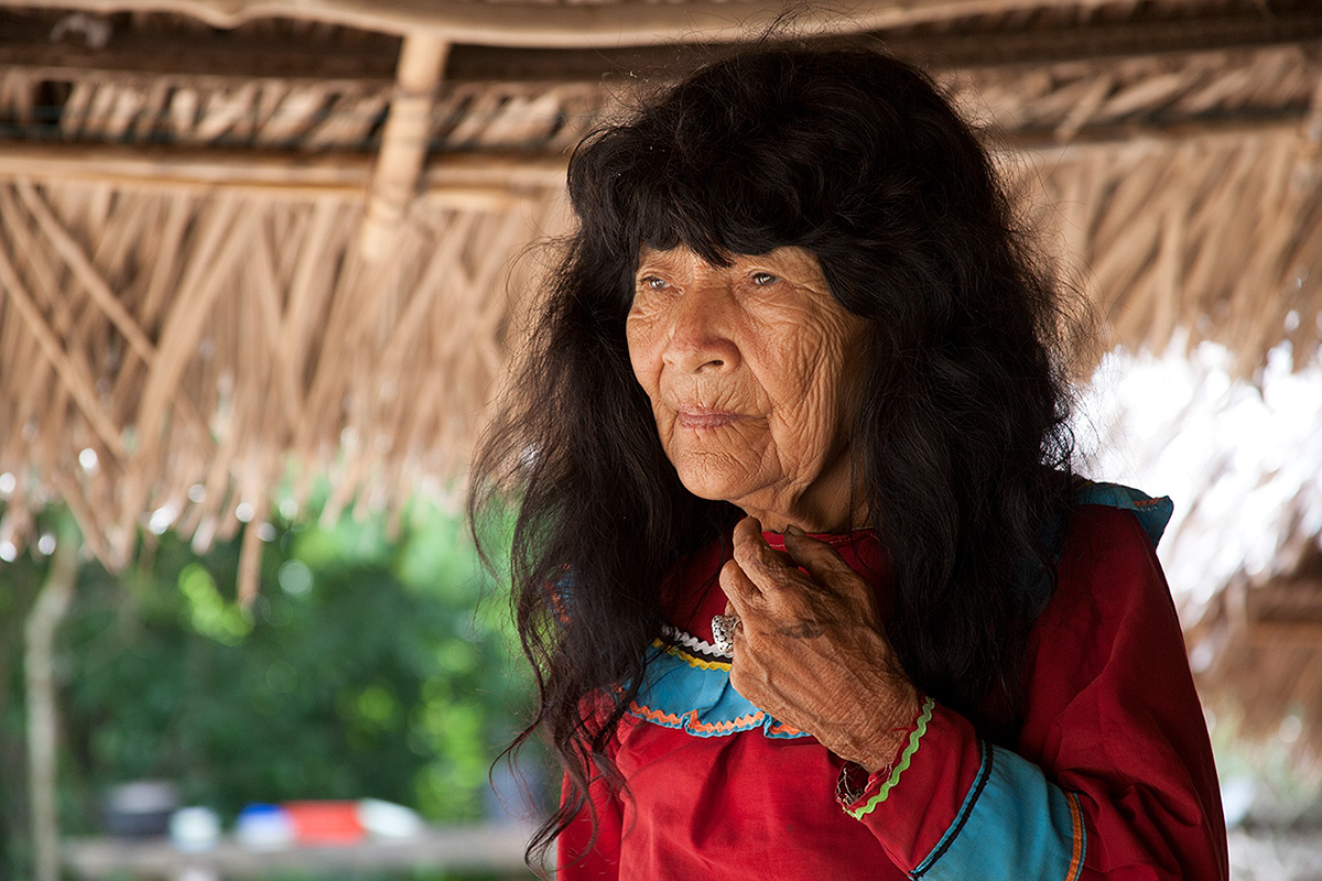 Adobe Portfolio Amazon ayahuasca icaros shipibo indigenous spiritual meditation shamanism