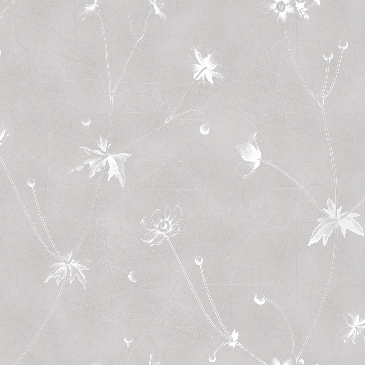 textile design  Photography  floral Botanicals butterflies frost ice