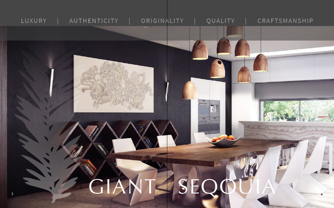 Conceptual Work  brand identity  Giant Sequoia