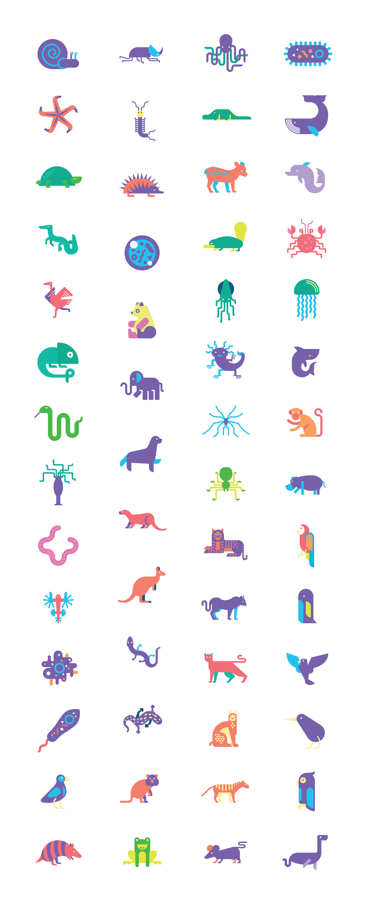 game design icons animals zoo evolution minimal Icondesign