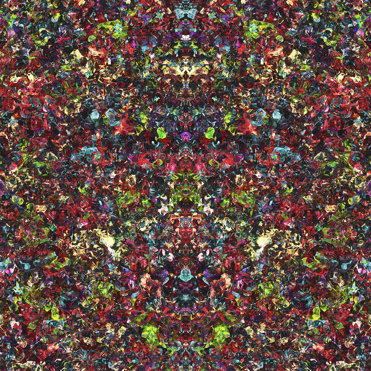 Patterns pattern Pragyan Uprety texture textures generative art generative butterfly abstract Abstract Art