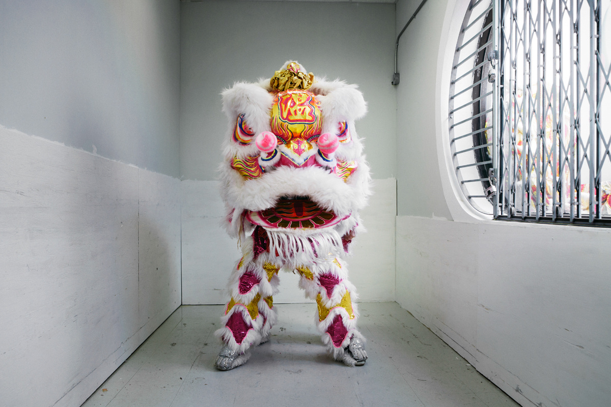 Lion Dance chinese american chinatown new york city nyc DANCE   Chinese dance Chinese art wan chi ming team wcm