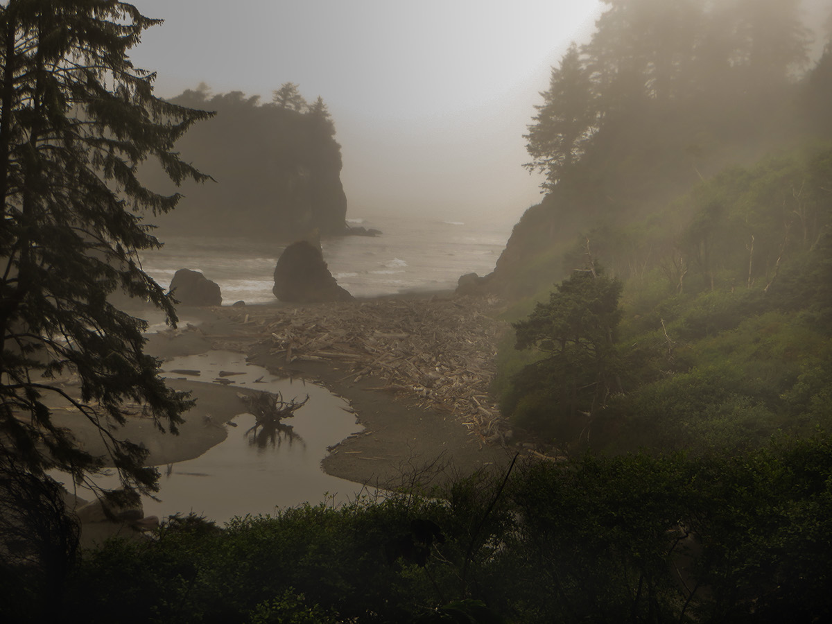 beach Ruby Beach  Oregon Coast driftwood fog
