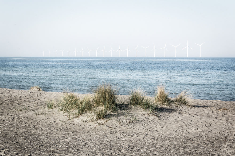 beach sand sandgrass windmills factory people