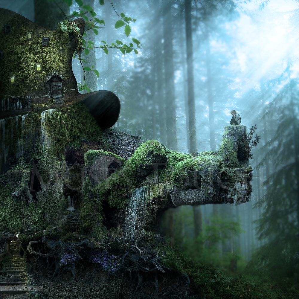 dragon hatel hotel boy forest hat fantasy Magical photomanipulation