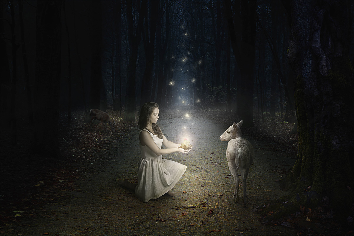 Marigold photoshop compositing forest Magic   fairy tale deer White deer staged photography surreal photography