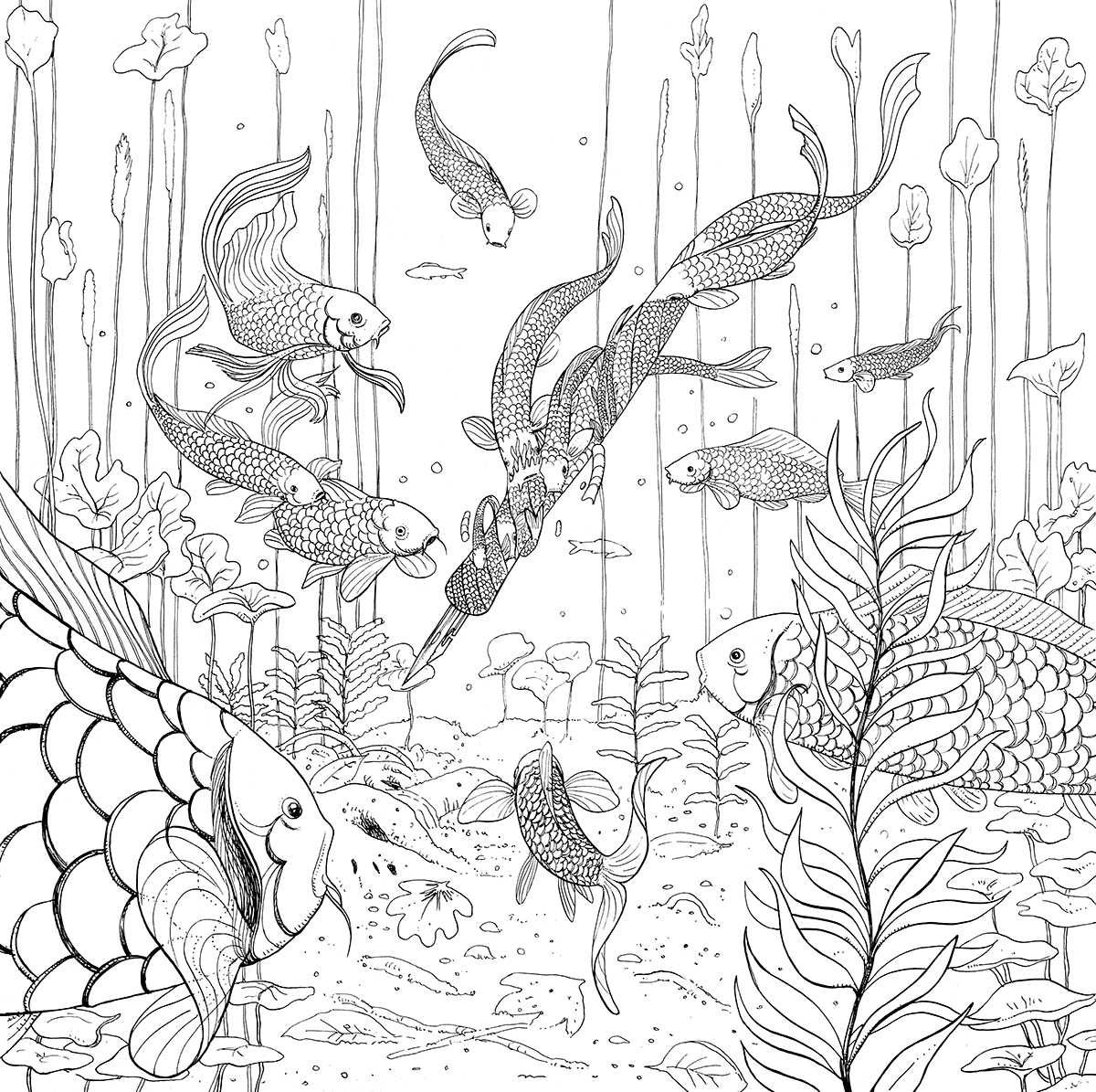 ukiyo-e japan fish dream Magic   journey tale graphic draw color wacom ukiyo surrealism spanish Illustrator